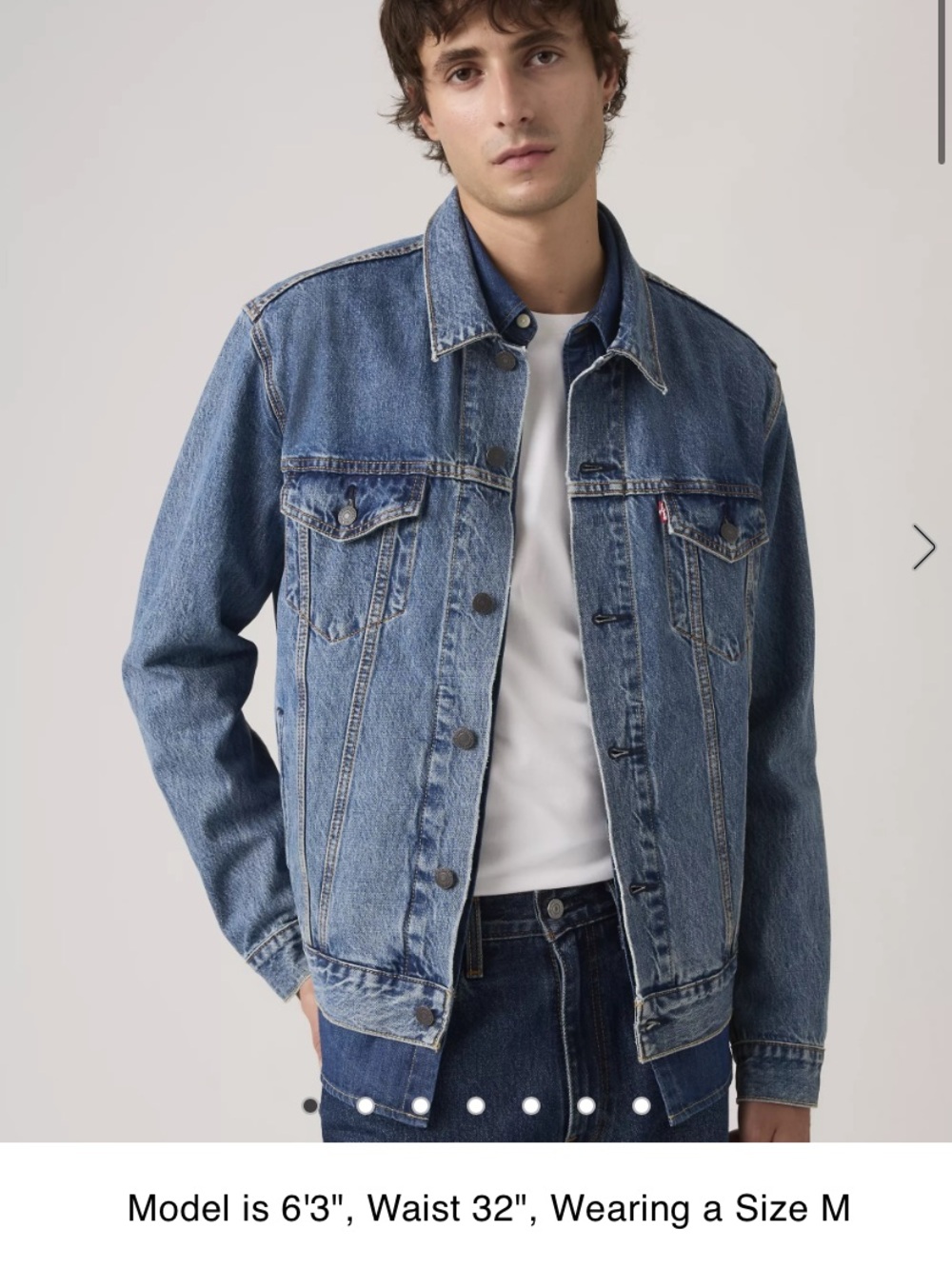 Levis Trucker Denim jacket